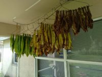 20220917_101706.jpg