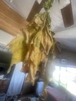 northwest tobacco emporium sequim NORTHWEST TOBACCO EMPORIUM - Updated June 2026 - 649 W Washington St, Sequim,  Washington - Tobacco Shops - Phone Number