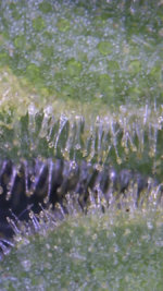 AB768259-6E09-44E9-B229-8DE2E37B5C5A.jpeg
