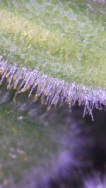 32A28E61-75ED-4D3D-BDC7-F9078DDCF3F3.jpeg