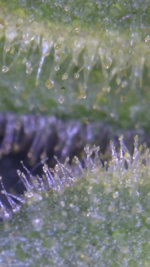 AE729370-F455-4D88-9995-54D069A126B9.jpeg