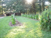 Friday pictures 008.JPG