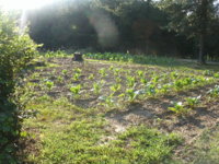 Friday pictures 011.JPG