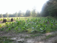 Friday pictures 013.JPG