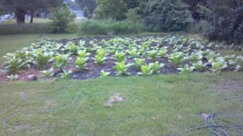 2013-06-22_10-17-51_530.jpg