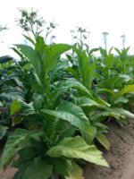 20130628_095855.jpg