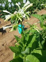 20130628_095935.jpg
