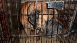 SAM_3148.jpg SAM_3148.jpg