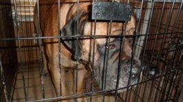 SAM_3149.jpg SAM_3149.jpg