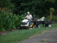 Frontyard crop 002.JPG