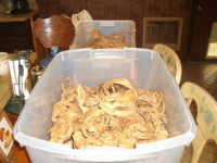 More 'baccer garden pics 009.JPG