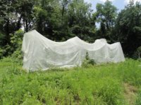 Shade cloth pics 006.jpg
