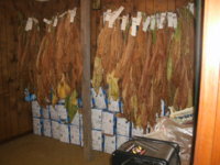 Tobacco room 015.JPG