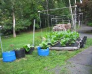 IMG_1829 - Copy.JPG