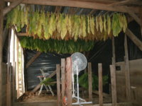 in the shed 003.JPG