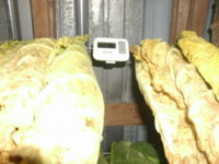 Harvest 1 022.JPG