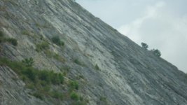 SAM_3222.jpg SAM_3222.jpg