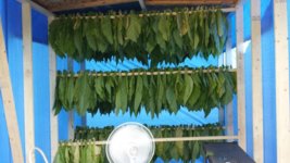 20130721_174924.jpg