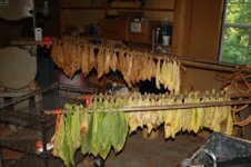 Curing lugs 1.jpg Curing lugs 1.jpg