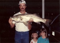 scan0054.jpg