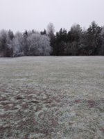 IMG_20230122_152006.jpg