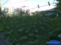 IMG_20220709_062458.jpg