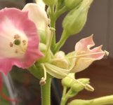 IMG_20230222_112552_HDR~2.jpg