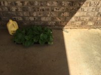 478F2FBE-7960-4268-B05C-ED6B9761CC23.jpeg