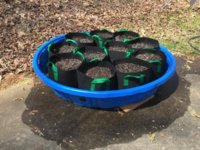 813623E7-0DD6-42DB-A8A4-D8777A7D6081.jpeg