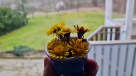 20230324_170108.jpg