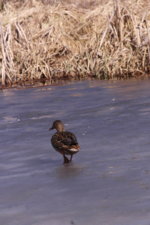 SAM_0314.jpg