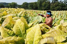 1681834105816.jpeg 1681834105816.jpeg