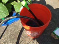 IMG_0804.jpeg