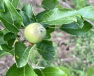 IMG_3342.jpeg