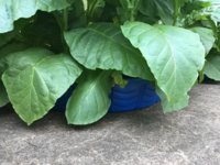 IMG_0845.jpeg