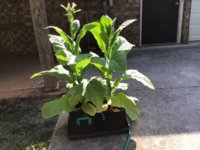 IMG_0858.jpeg