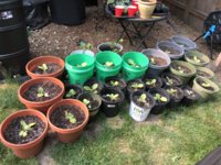 IMG_5584.jpeg