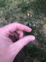 IMG_5642.jpeg