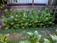 03_20230630_071149.jpg 03_20230630_071149.jpg