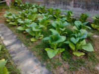 04_20230630_071203.jpg 04_20230630_071203.jpg