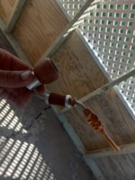 20220830_150344.jpg
