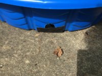 IMG_0920.jpeg