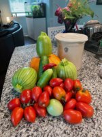 IMG_3534.jpeg