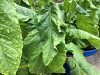 IMG_0924.jpeg