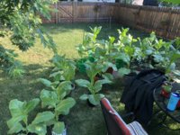 IMG_5693.jpeg