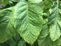 IMG_0947.jpeg