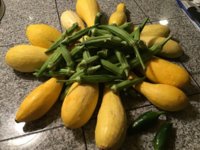 IMG_0951.jpeg