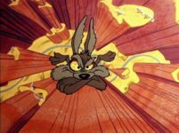 IMG_0953.jpeg
