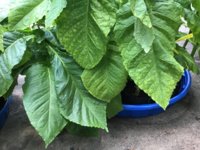 IMG_0969.jpeg