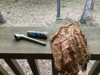 IMG_0970.jpeg
